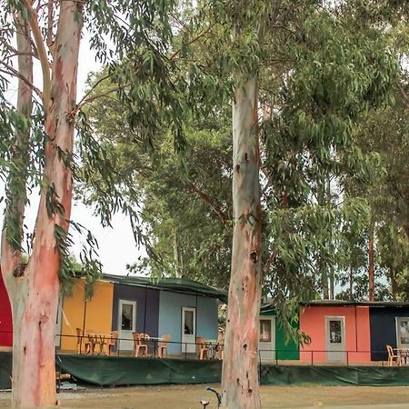Patara Woody Hostel & Camping Εξωτερικό φωτογραφία